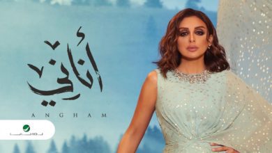 كلمات اغنية أناني انغام