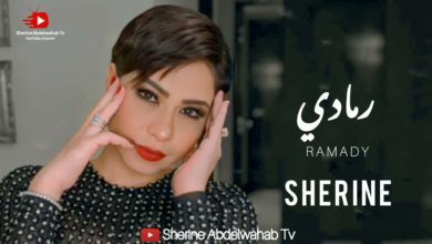 كلمات اغنية رمادي شيرين عبدالوهاب