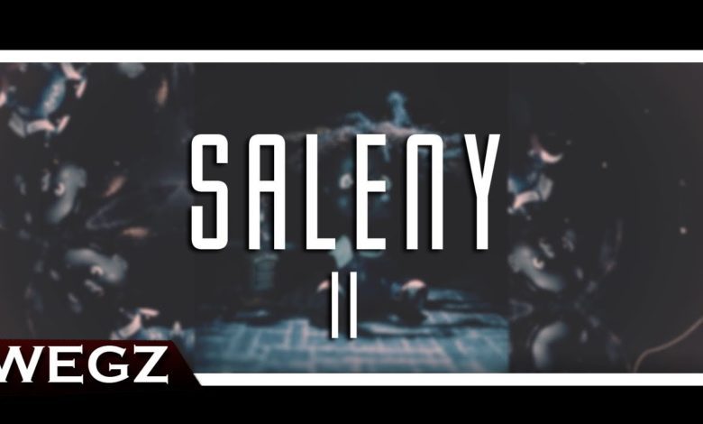 كلمات اغنية نجم ساليني 2 ويجز