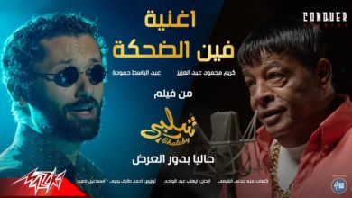 كلمات اغنية فين الضحكة عبد الباسط حمودة