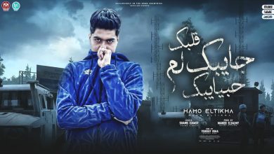 كلمات مهرجان قلبك جايبك لم حبايبك حمو الطيخا