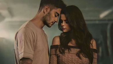 Im Sorry We Lied Lyrics Selena Gomez ft. ZAYN