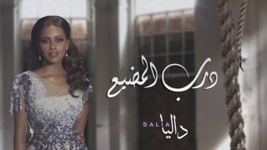 كلمات اغنية درب المضيّع داليا