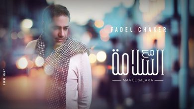 كلمات اغنية مع السلامة فضل شاكر