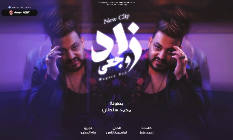 كلمات اغنية وجعى زاد محمد سلطان