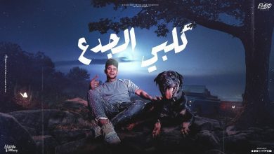 كلمات مهرجان كلبي الجدع امين خطاب