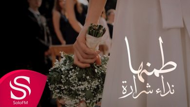 كلمات اغنية طمنها نداء شراره