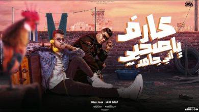 كلمات مهرجان عارف يا صحبي اني جامد عصام صاصا و نور التوت