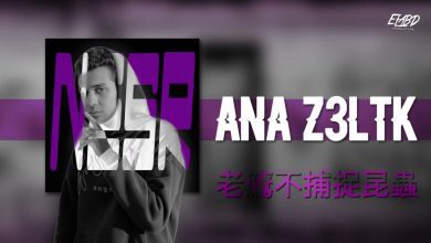 كلمات اغنية انا زعلتك مصطفي النسر