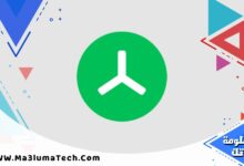 TreeSize Professional (1)