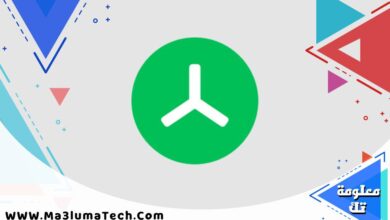 TreeSize Professional (1)
