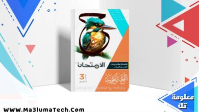 تحميل كتاب الامتحان في اللغة العربية كتاب الاسئلة الجزء الثاني للصف الثالث الثانوي 2026 pdf